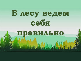 Правила нахождения в весеннем лесу для детей и взрослых.